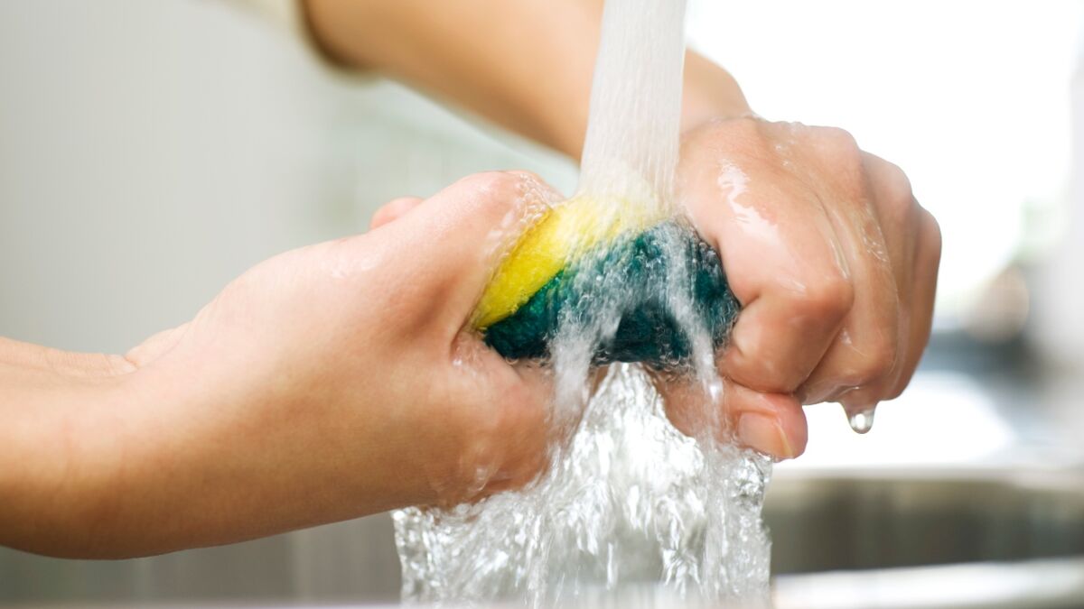 This is how often you should watch your kitchen sponge to avoid health