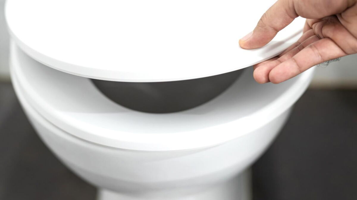 Experts reveal whether you should close your toilet lid before flushing