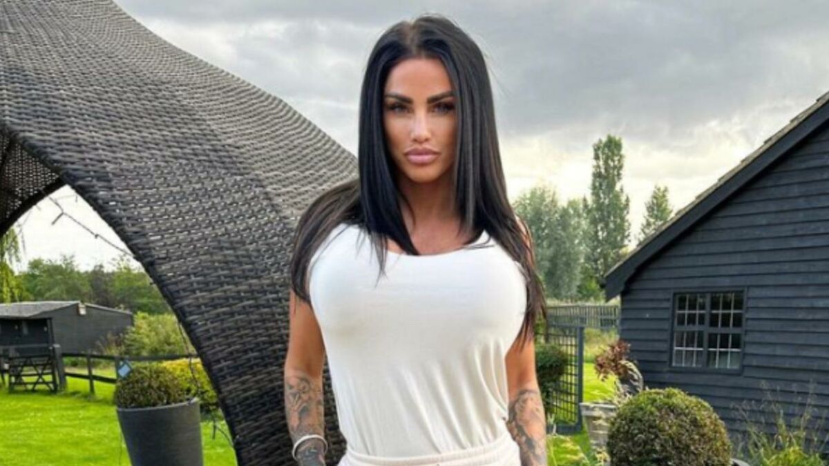 Katie Price in a fight to save her £2.2 m Mucky Mansion in the next ...