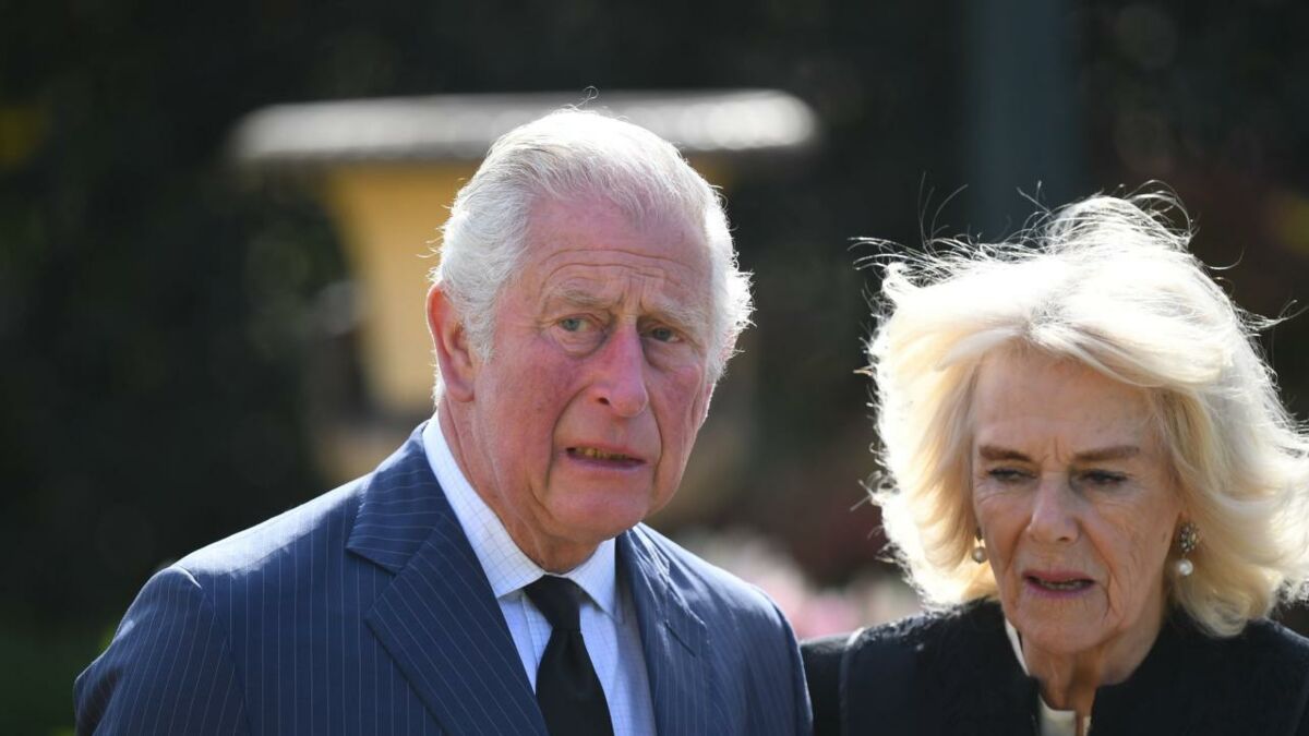 Prince Charles 'at his worst' as he distances himself from Camilla Parker  Bowles