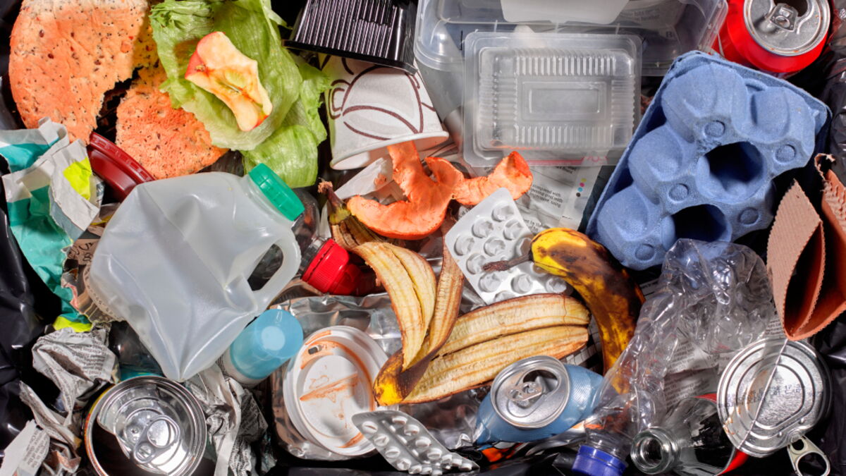 Here Is How To Get Rid Of Bad Smells From Your Rubbish Bin