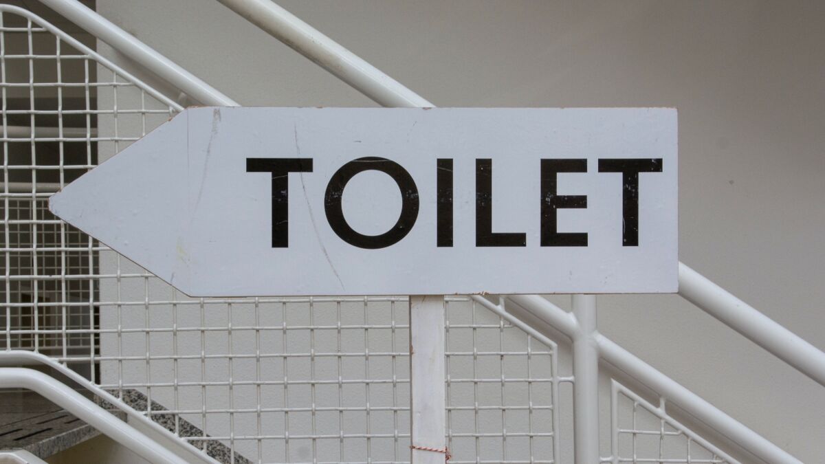 This is the one bathroom cubicle you should never use