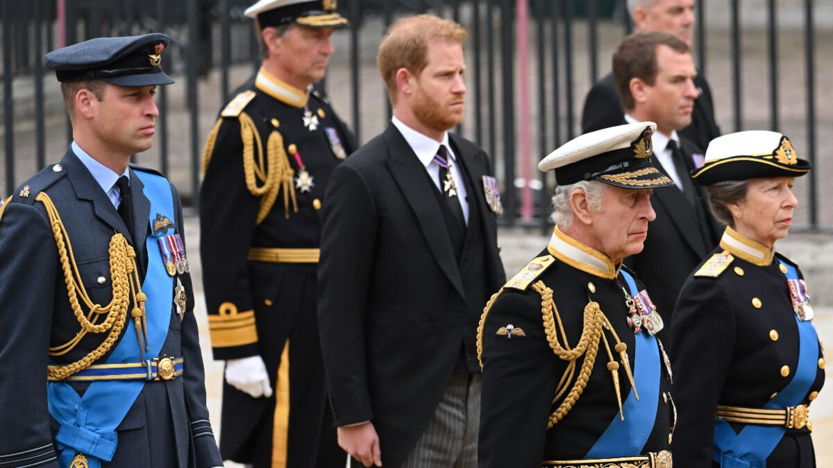 Royal experts agree, reconciliation between Prince Harry and the Royal ...