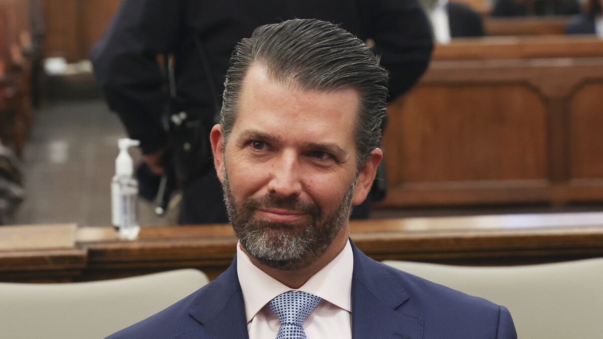 Donald Trump Jr made a baffling request while testifying in his father ...