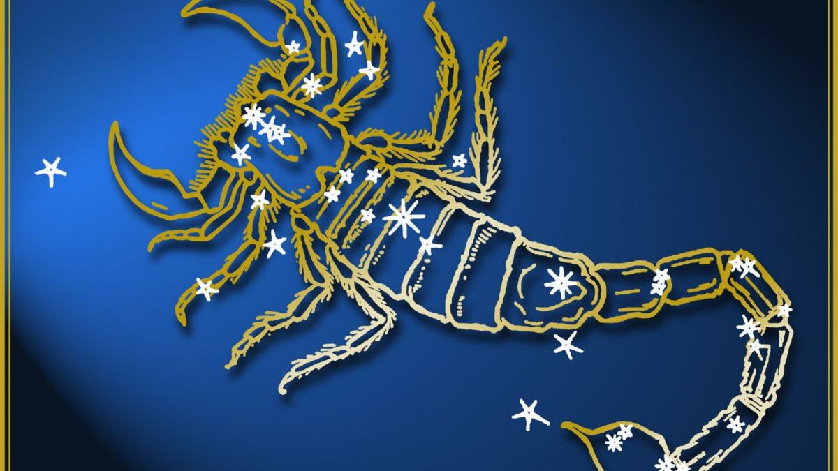 Scorpio Here s everything you need to know about the zodiac sign