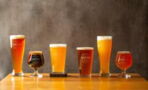Study shows beer is actually good for your gut health