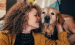 3 Things You Can Do To Help Your Dog Live Longer