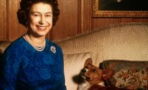 The Queen’s Jubilee: A dog festival will be held to celebrate the royal event