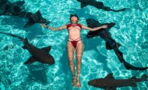 Shark swims dangerously close to two people without them realising it (PHOTOS)