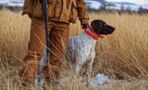 Dog accidentally shot his owner while they were out hunting