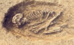 Skeletal remains of the oldest 'European' in history discovered by researchers