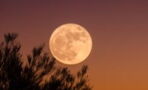 Here's everything you need to know about tonight's supermoon, July 13