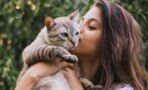 Do cats actually like to be kissed? Here's what they're really thinking