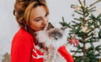 10 Christmas gift ideas for cat lovers that are under £15