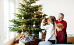 This is the right time to put up your Christmas tree, as per experts