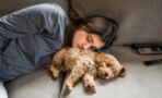 Sleeping with your dog at night: Everything to know before letting your pet inside your bed
