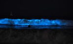 Rare phenomenon of glow-in-the-dark sea captured in first image