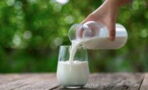 Here’s why people are adding salt to milk, and you should too