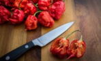 This is the world's most powerful pepper, 540 times stronger than a classic jalapeño