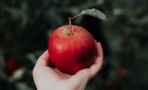 Does an apple a day really keep the doctor away?