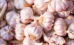 The unexpected benefit of garlic on your health