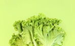 Struggling to sleep? This TikTok lettuce hack can cure insomnia
