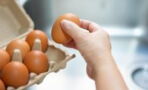 Never wash your eggs before cooking due to this serious health hazard