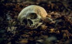 Skeletal remains of a 'vampire' woman from the 17th century discovered (PHOTO)