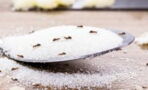 Here's how you can get rid of ant infestation with household items