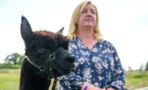 Geronimo’s post mortem results show the alpaca did not have TB, claims owner