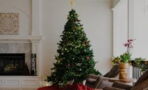 Have a real Christmas tree? Beware of this ‘clump’ that must be removed immediately