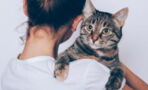 Two-thirds of people would rather spend time with their cat than their friends
