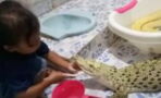 This4-year-old is best friends with a crocodile (VIDEO)