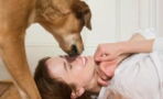Kissing your dog could put you at risk of becoming seriously ill