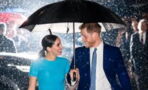 Meghan Markle and Prince Harry ‘unexpectedly’ more popular than the King and Queen, according to a new survey