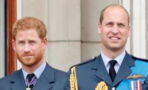 Here's everything you need to know about Prince Harry's and Prince William's relationship