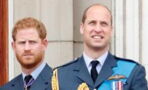 Prince William and Harry: Royal expert claims their feud is 'crossing generations'