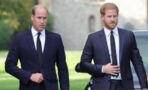Prince William and Prince Harry attended uncle’s funeral: Did the estranged brothers speak?