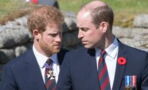 Prince William has 'second mum' that he doesn't share with Harry, who is it?