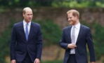 Harry tried to engage with William at Diana’s tribute, here’s how his brother reacted
