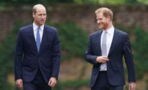 Prince William and Prince Harry are yet to reconcile despite joint appearances