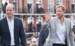 Prince William and Prince Harry: Royal expert reveals reason why the brothers may not meet