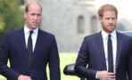 Have Prince Harry and Prince William finally buried the hatchet? Not everyone is convinced