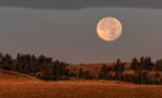 Here’s everything you need to know about tonight's Harvest full moon