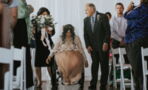She's been paralysed for nearly a decade but on her wedding day she performed a miracle