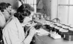 The sinister story of the Radium Girls, the women who worked in clock factories during WWI