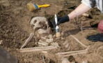 Archeologists discover skeleton of a woman who gave birth in her tomb
