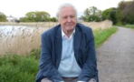 Sir David Attenborough’s health is making filming more difficult, here's everything we know