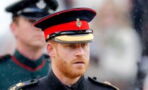 Prince Harry: Is his military past really being erased?