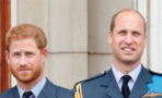 Prince Harry: The Duke of Sussex would 'gladly accept' to see his brother but Prince William has different plans